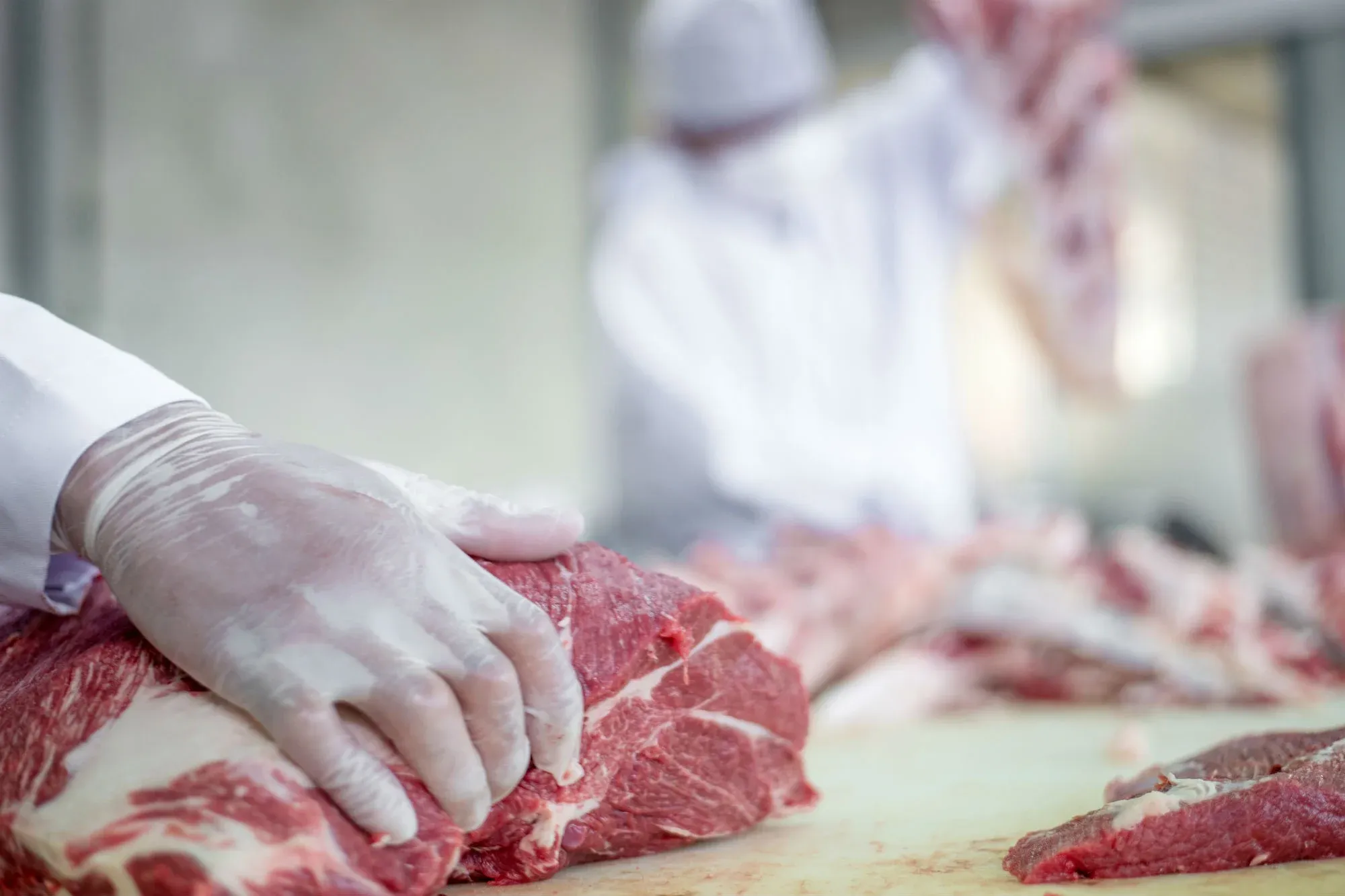 Inspeção de carne em estabelecimento do setor de alimentos